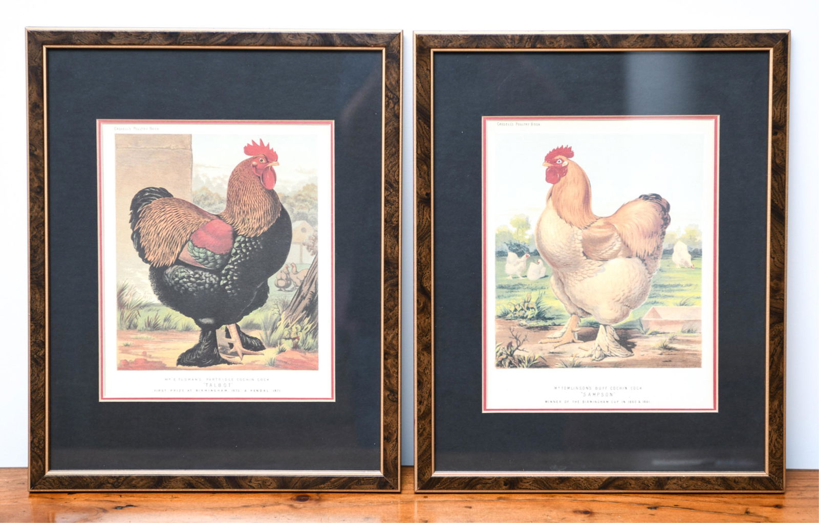 (2) REPRODUCTION CASSELL'S POULTRY PRINTS (1 of 5)