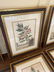 (8) DECORATIVE BOTANICAL PRINTS - 4