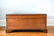 19TH C. BLANKET CHEST - 9