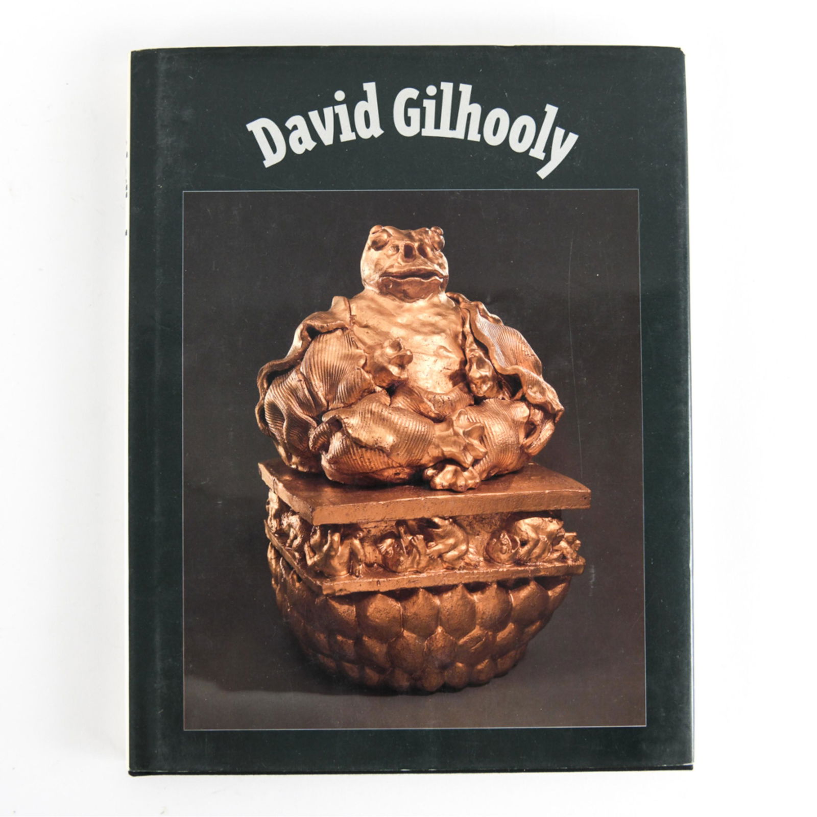 DAVID GILHOOLY BOOK: Dimensions: H 11.5” x W 9” Condition: Showing Light Wear consistent with handling.