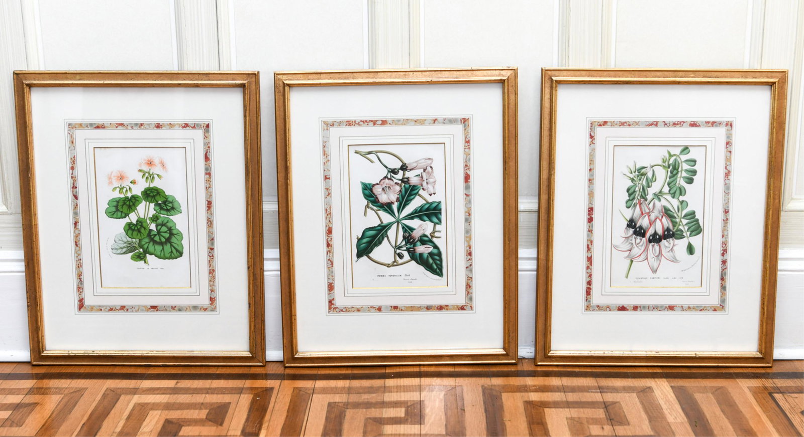 (3) VAN HOUTTEANS 19TH CENTURY BOTANICALS (1 of 9)