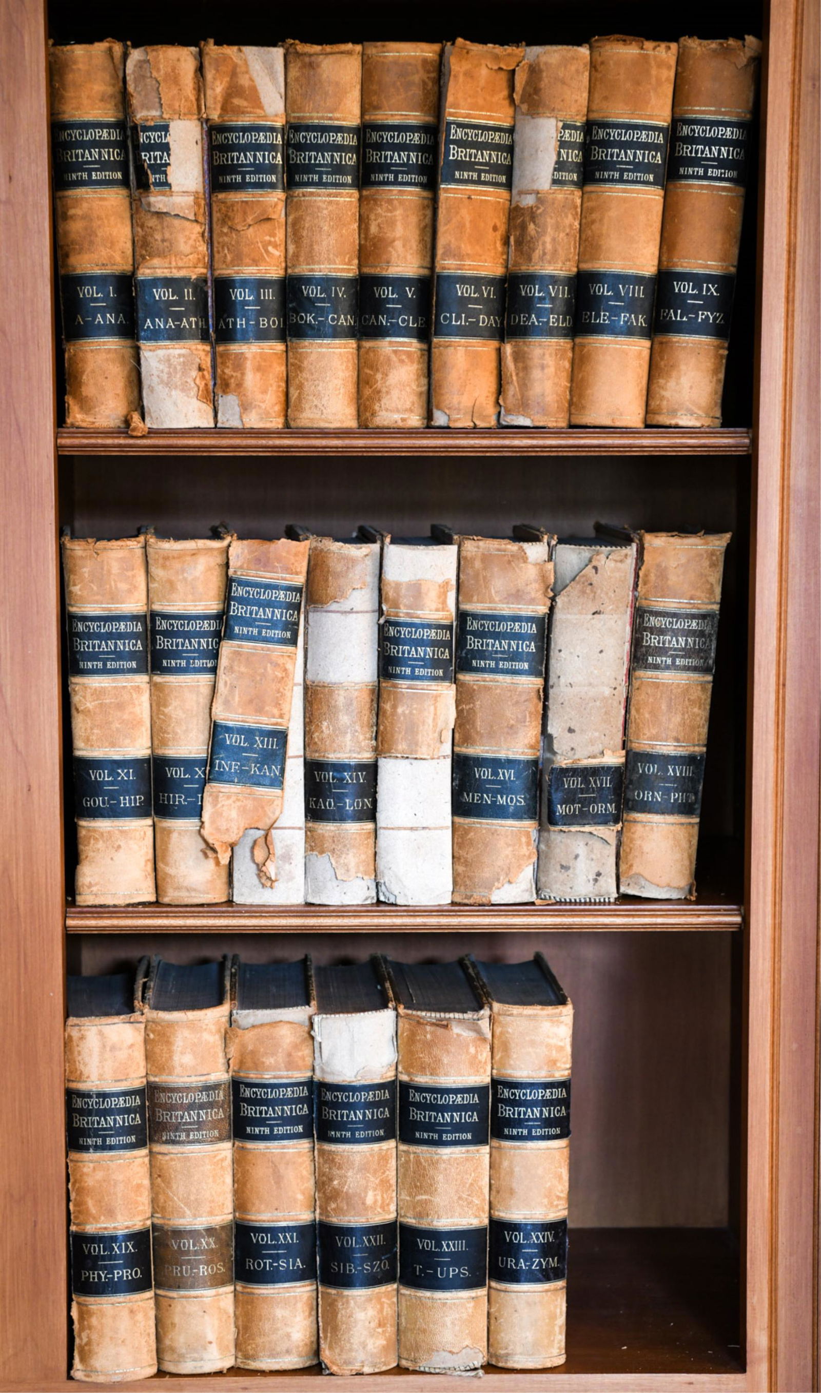 LEATHER BOUND VOLUMES ENCYCLOPEDIA BRITANNICA (1 of 18)