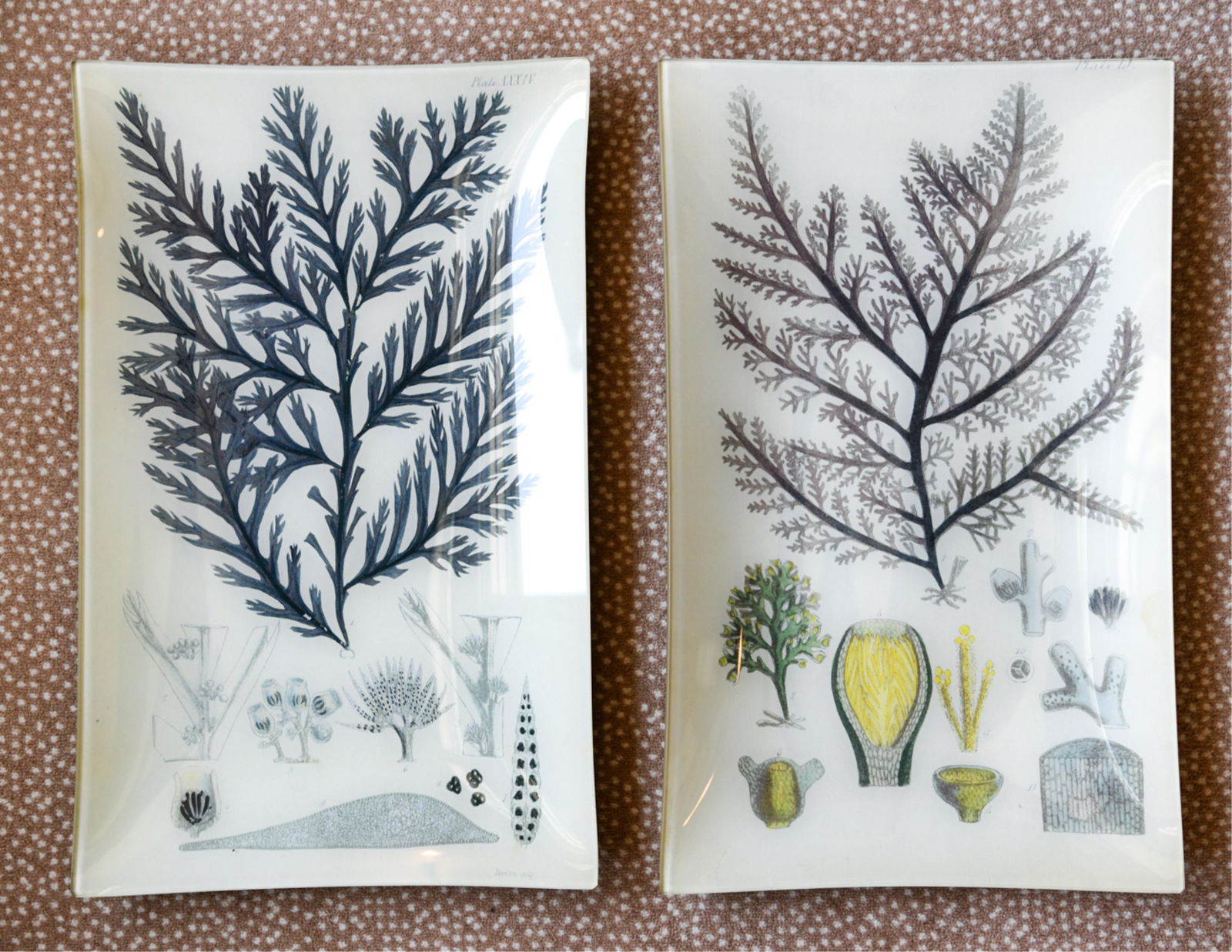 (2) JOHN DERIAN DECOUPAGE PLATTERS (1 of 14)