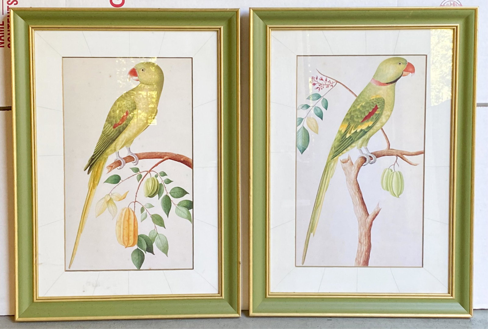 PAIR OF BIRD PRINTS (1 of 8)