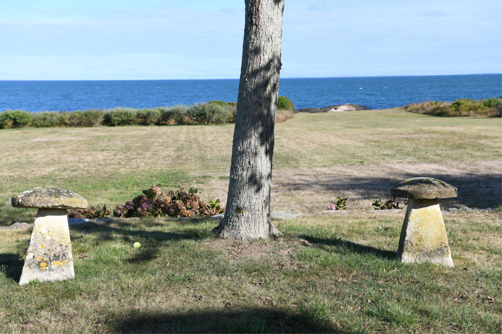 PAIR ANTIQUE STADDLE STONE MUSHROOM TOADSTOOLS (1 of 15)