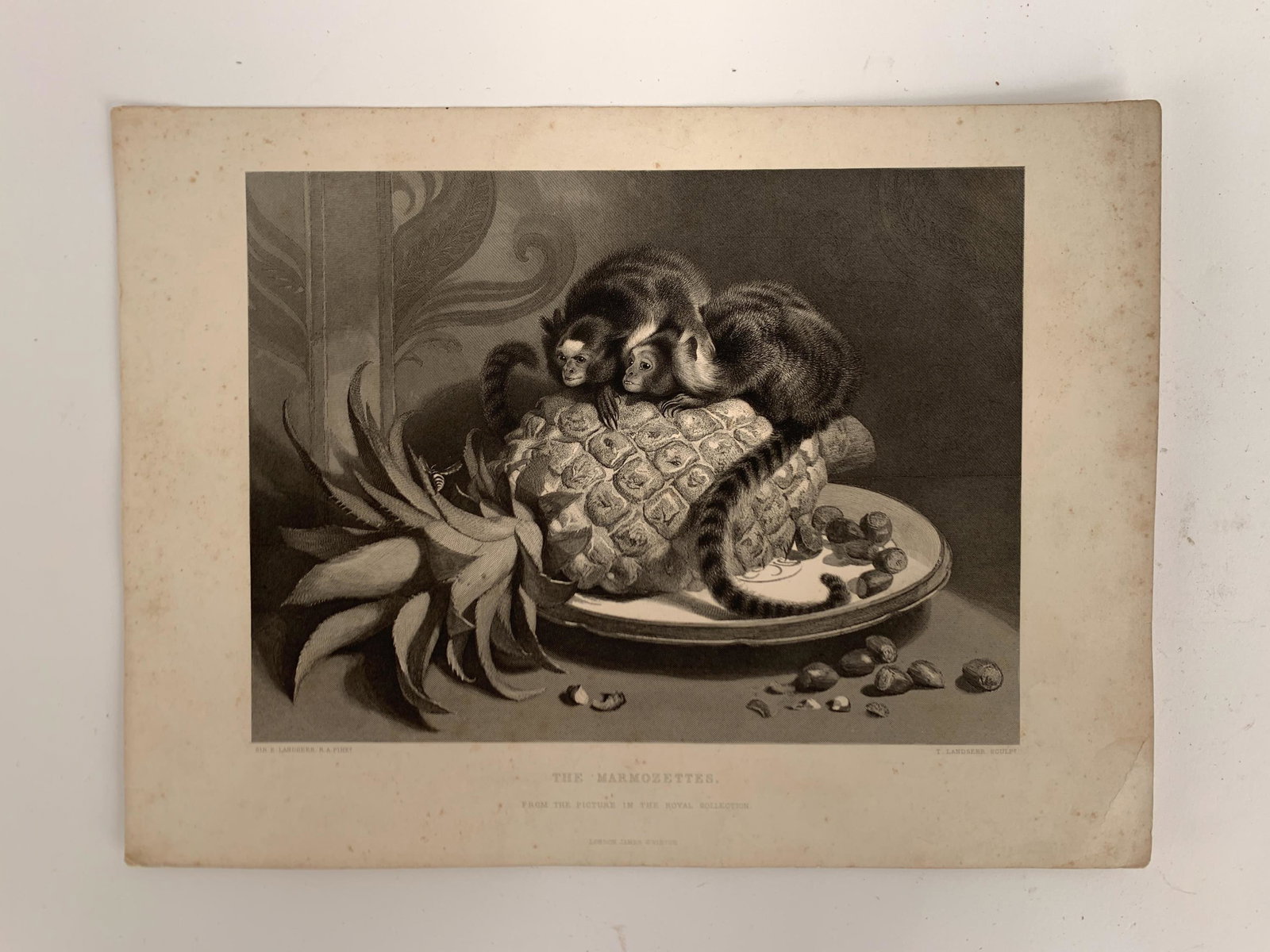 SIR EDWIN LANDSEER ENGRAVING: c. 1870, The Marmozettes. Dimensions: H 9.75" x W 13.25" Condition: Toning and foxing. Wear to some corners and edges including a small tear and a couple corner bends.