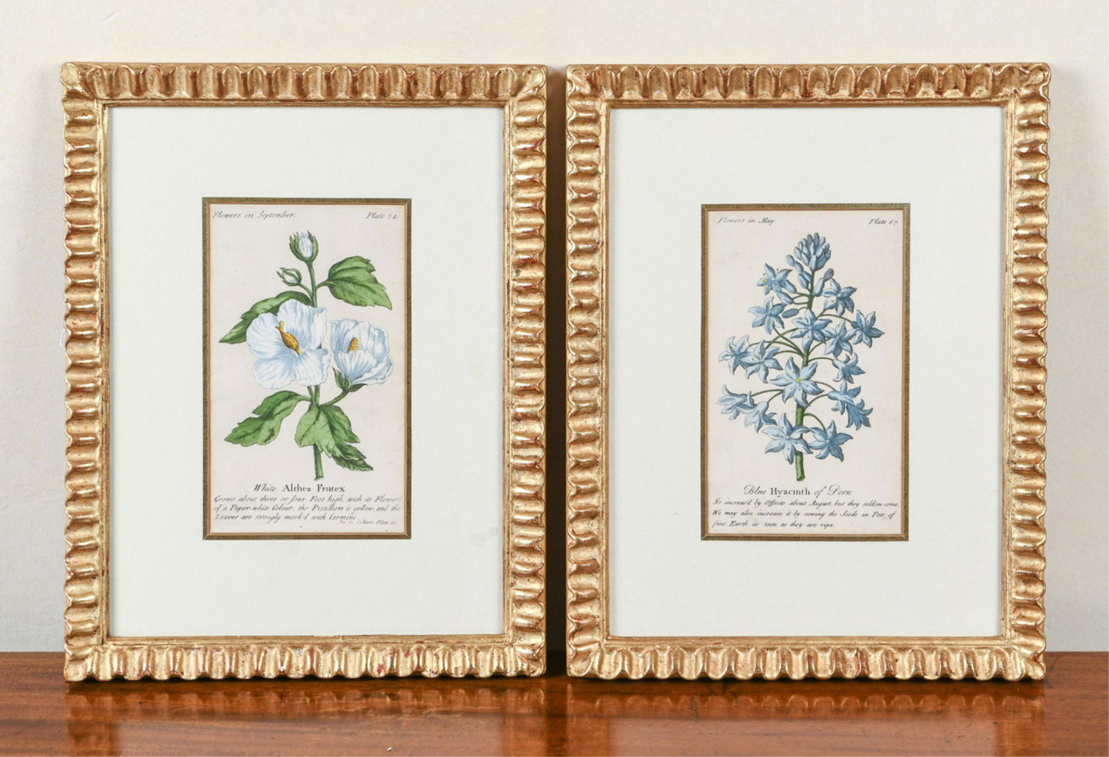 (2) 18TH C. BOTANICALS (1 of 10)