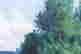 item-92346324=5