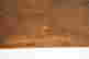 item-92620755=11