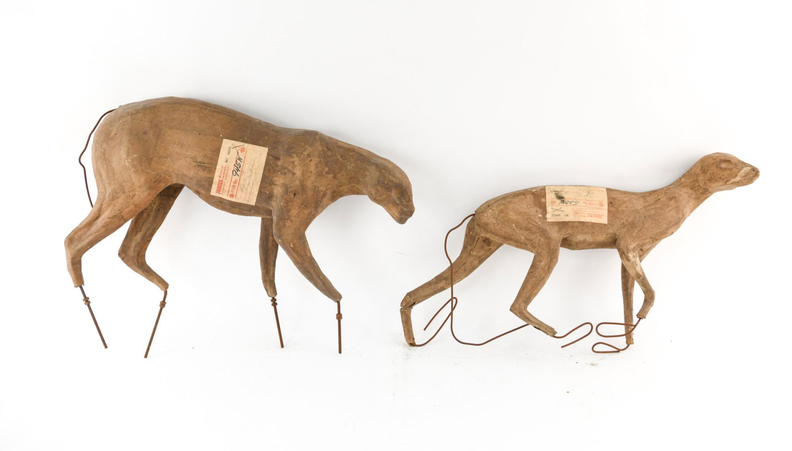 (2) TAXIDERMY FORMS (1 of 13)