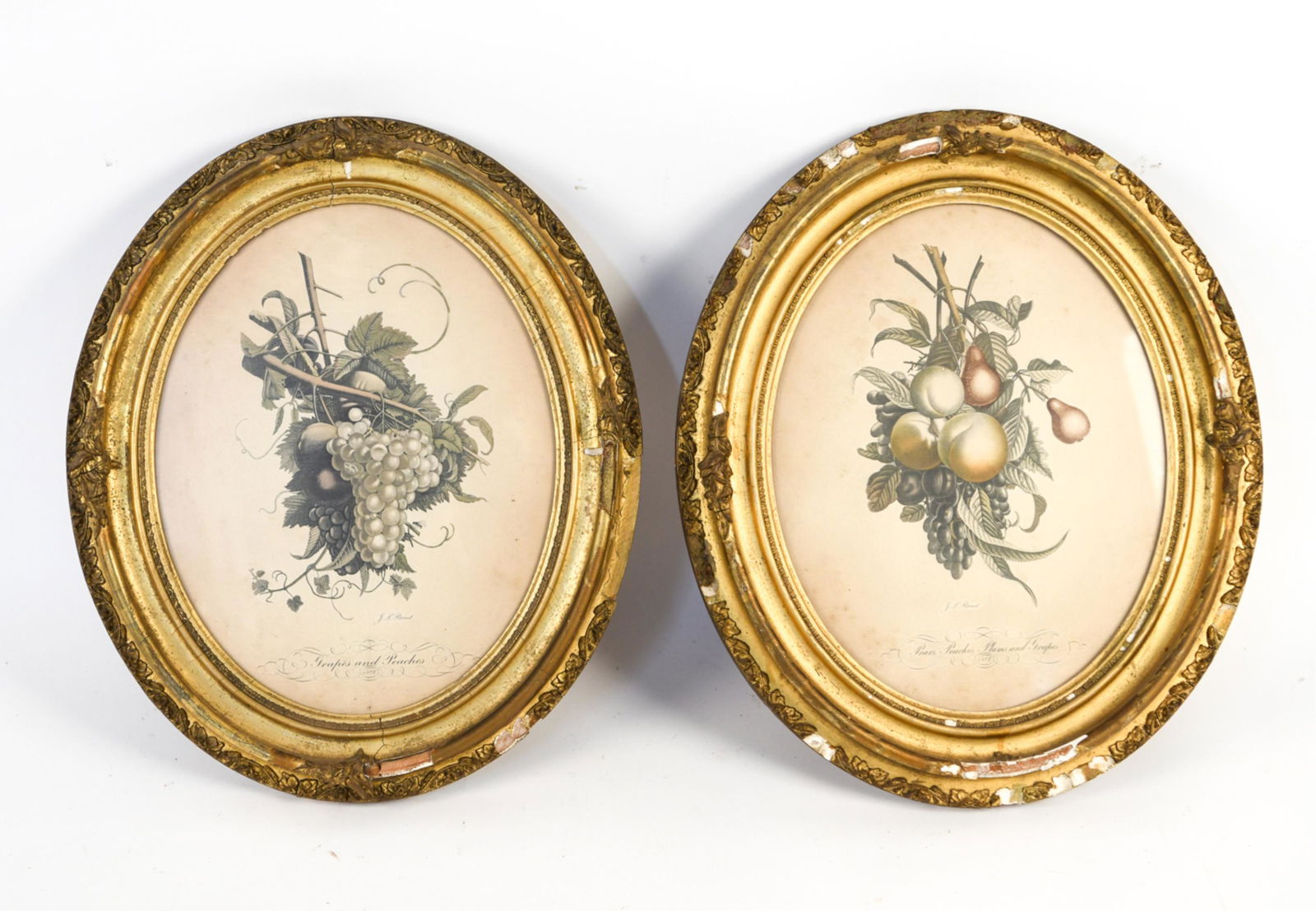 PAIR OF J.L. PREVOST FRUIT PRINTS (1 of 11)