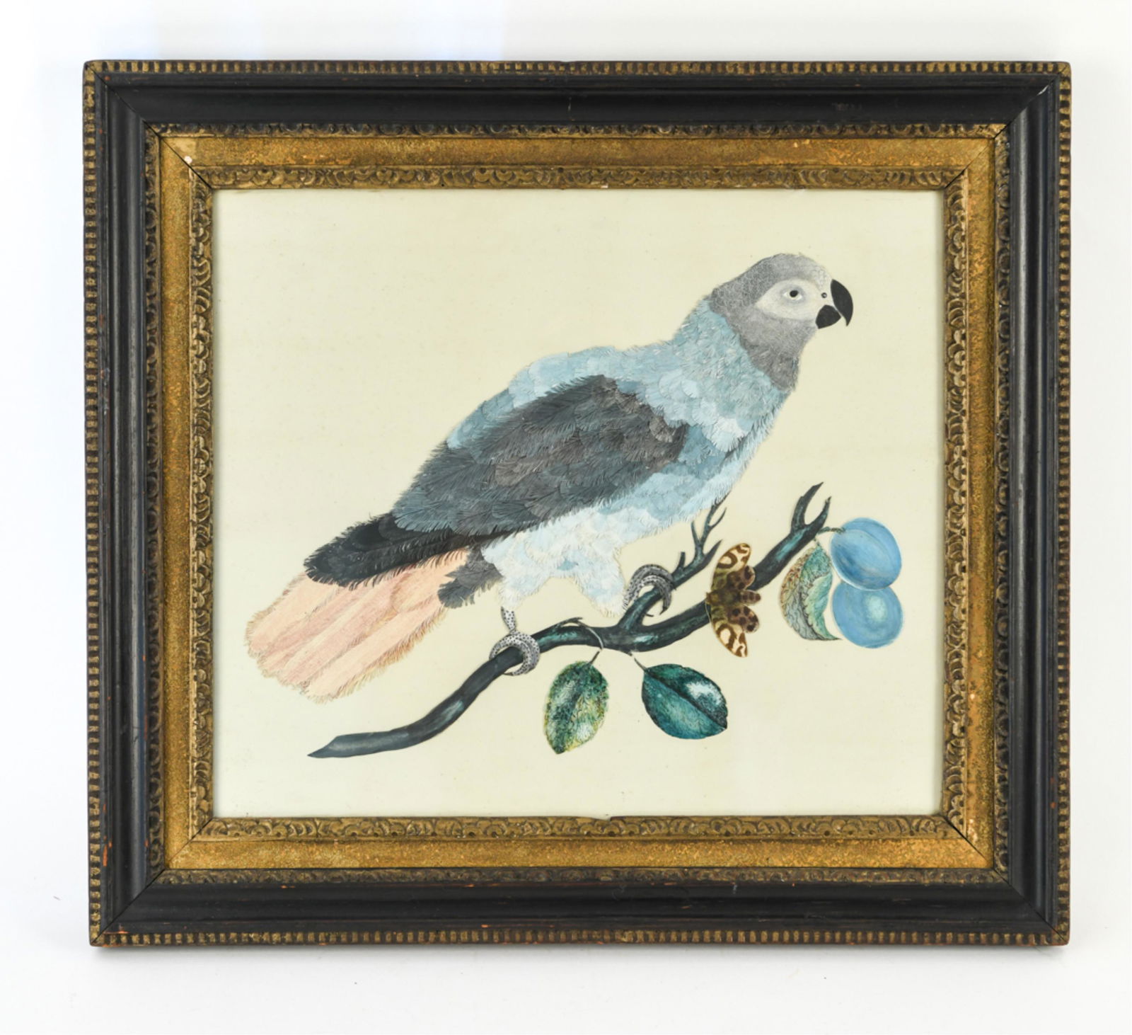 19TH C. WATERCOLOR & FEATHERWORK PARROT (1 of 7)