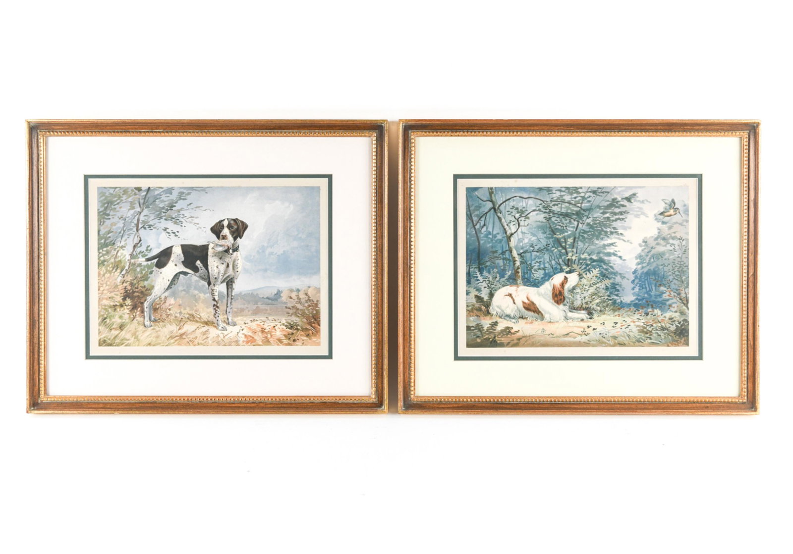 PAIR OF HUNTING DOG PRINTS (1 of 12)