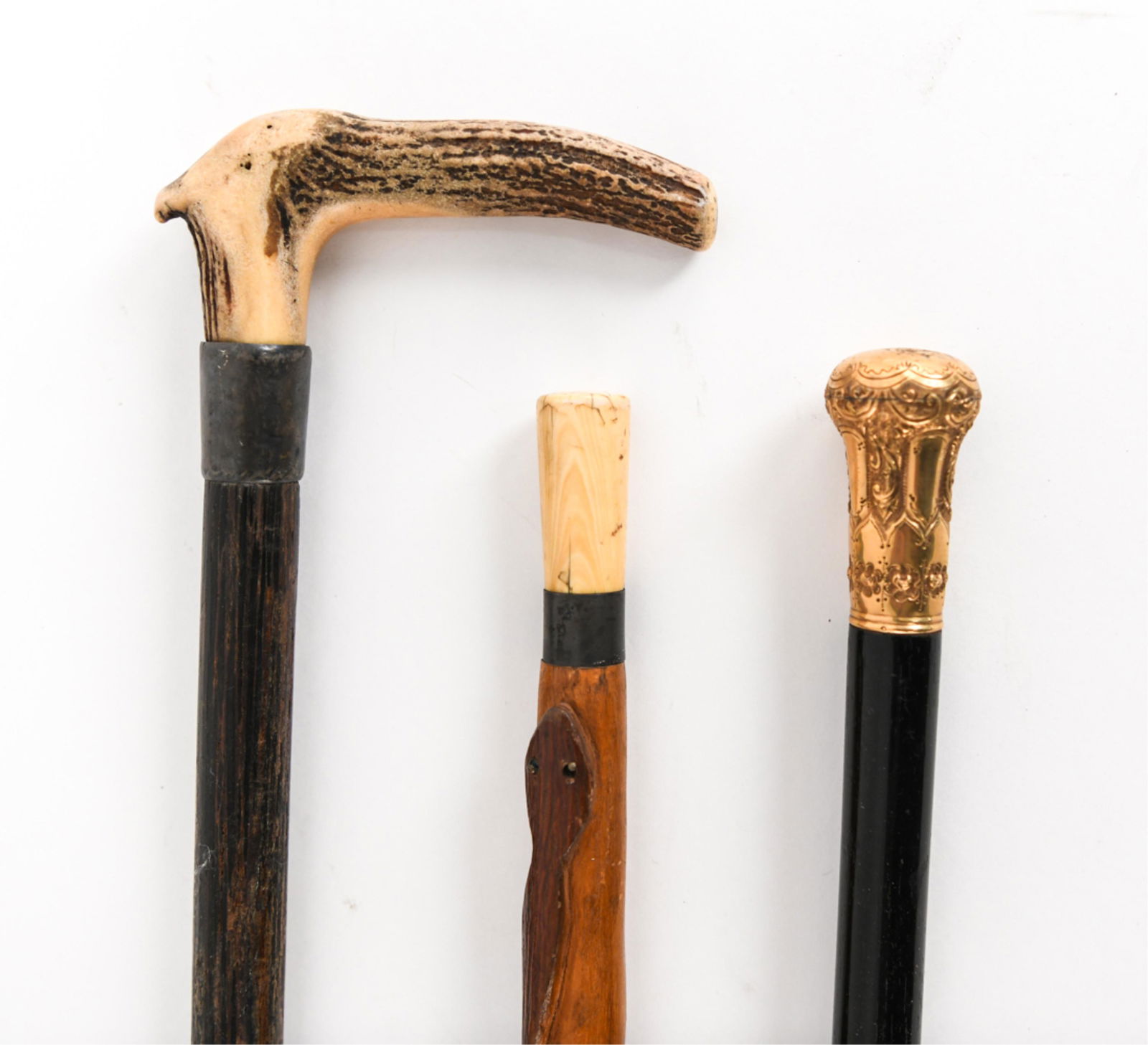 (3) WALKING STICK GROUPING (1 of 8)