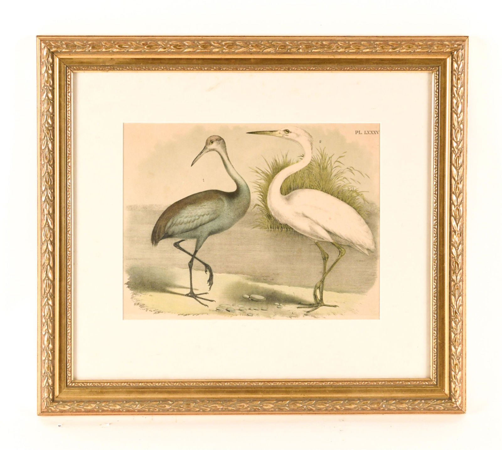 FRAMED CRANES BOOK PLATE PRINT (1 of 9)