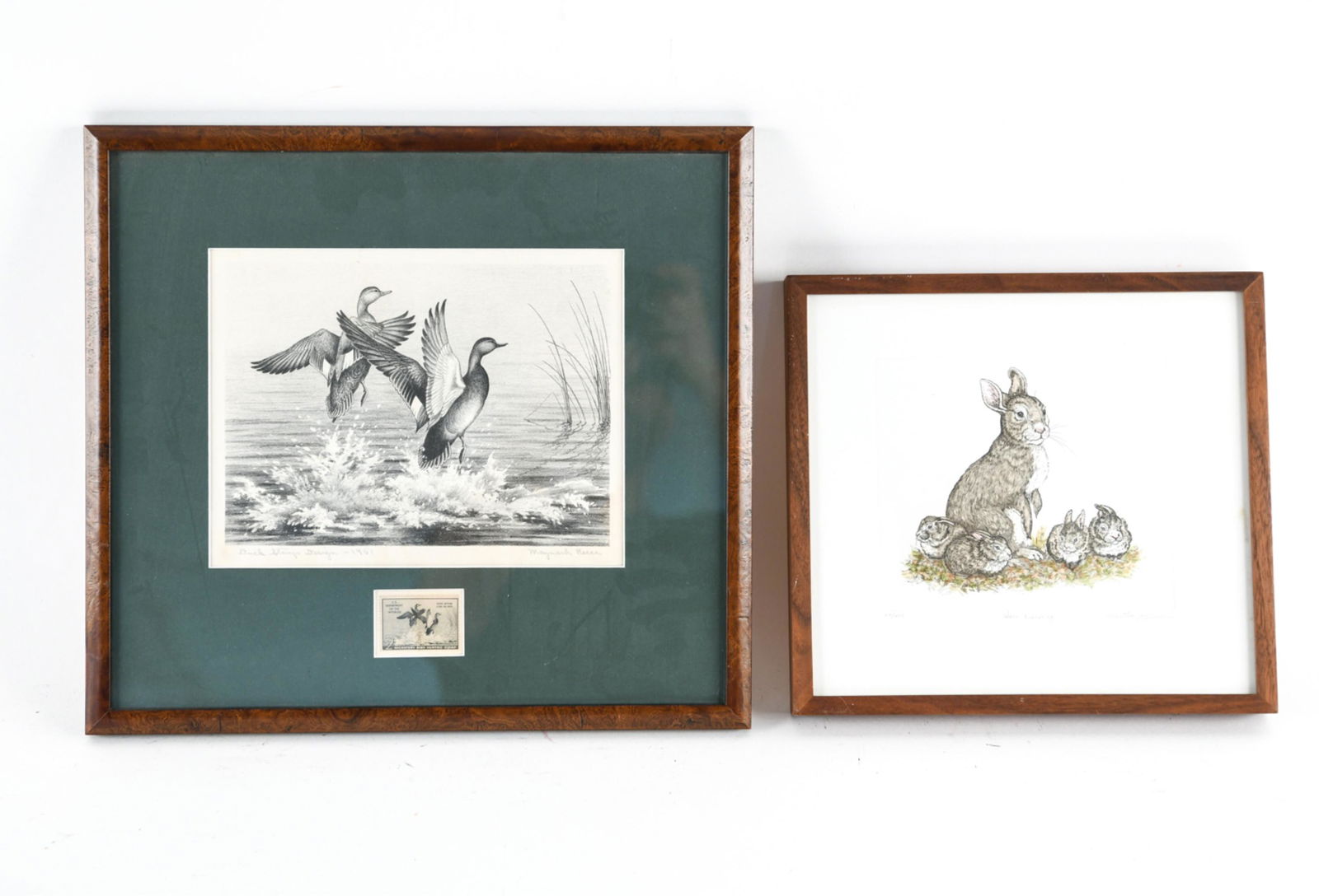 (2) ANIMAL PRINTS (1 of 18)