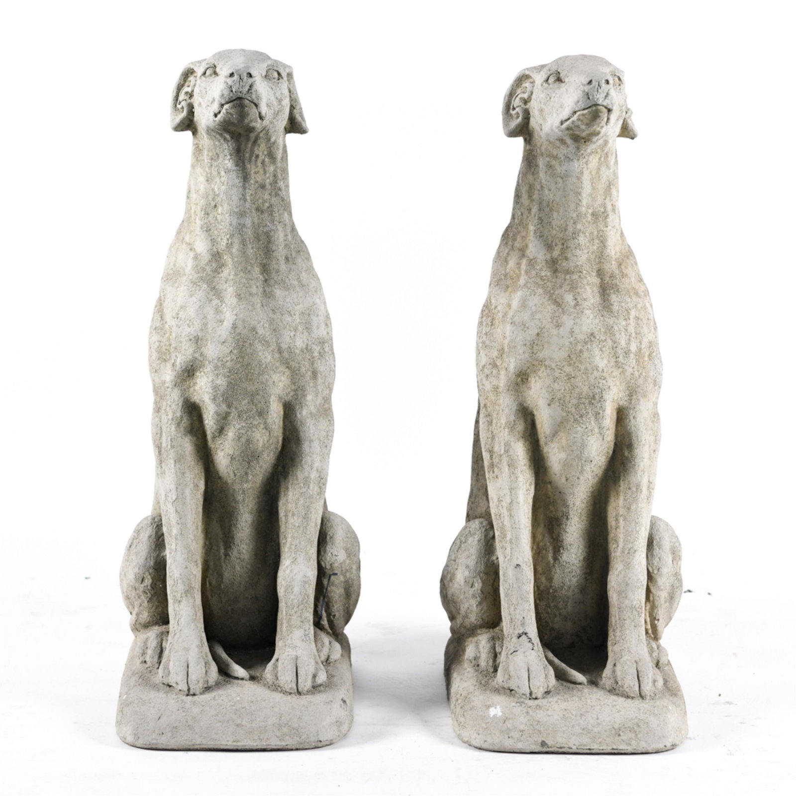 PAIR OF CONCRETE GREYHOUND STATUES: Greyhound dog statues. Labeled Quakertown, PA Dimensions: H 32" x W 12" x D 15" Condition: Wear consistent with age and use including minor erosion from outdoor display and some paint splatter remnant