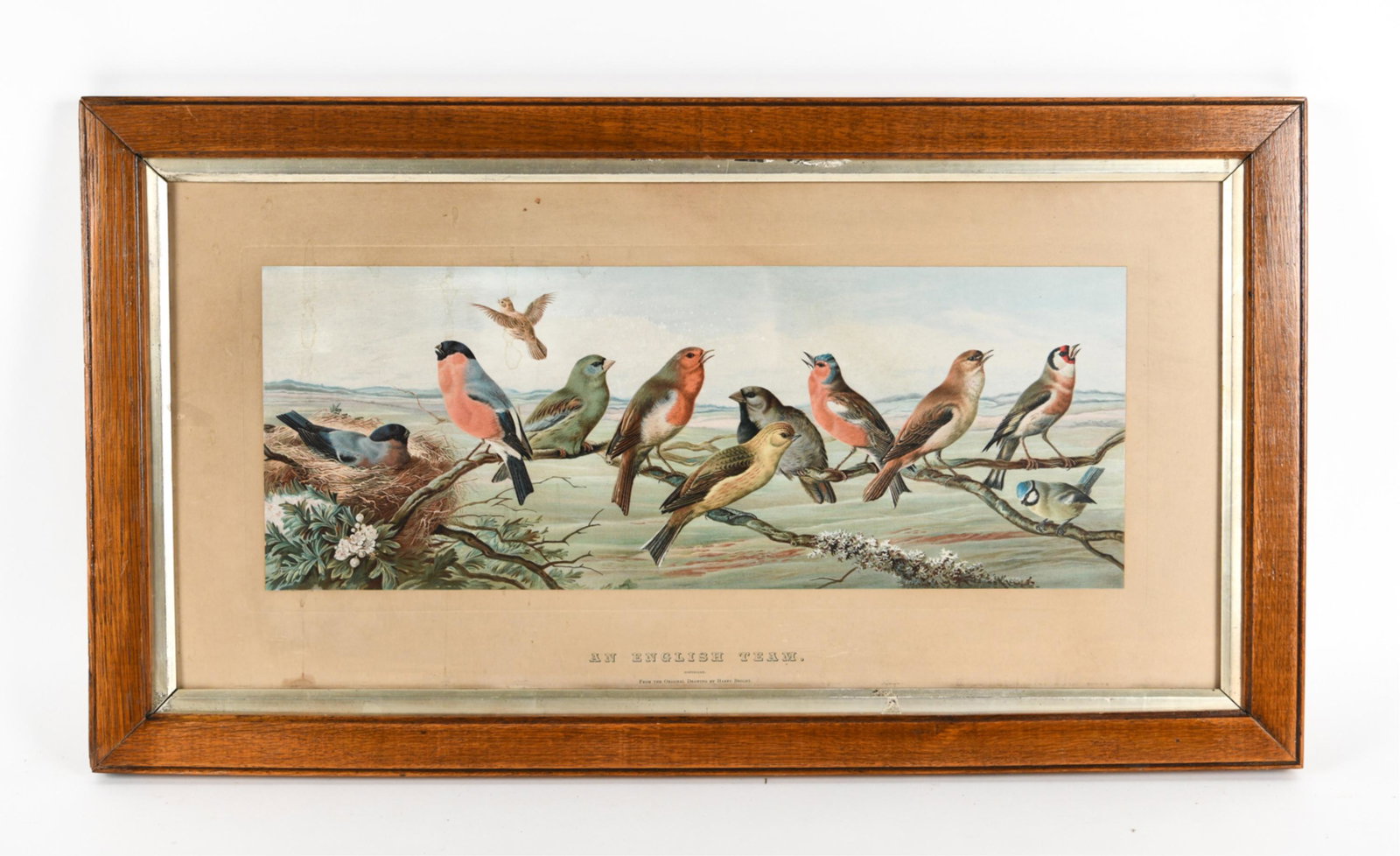 BIRD LITHOGRAPH AFTER HARRY BRIGHT: "An English Team." After drawing by Harry Bright. Dimensions: (Frame) H 15.75" x W 28", (Paper) H 7.5" x W 19.75" Condition: Soiling, some water staining. Toning to mat. Wear and some loss to frame.