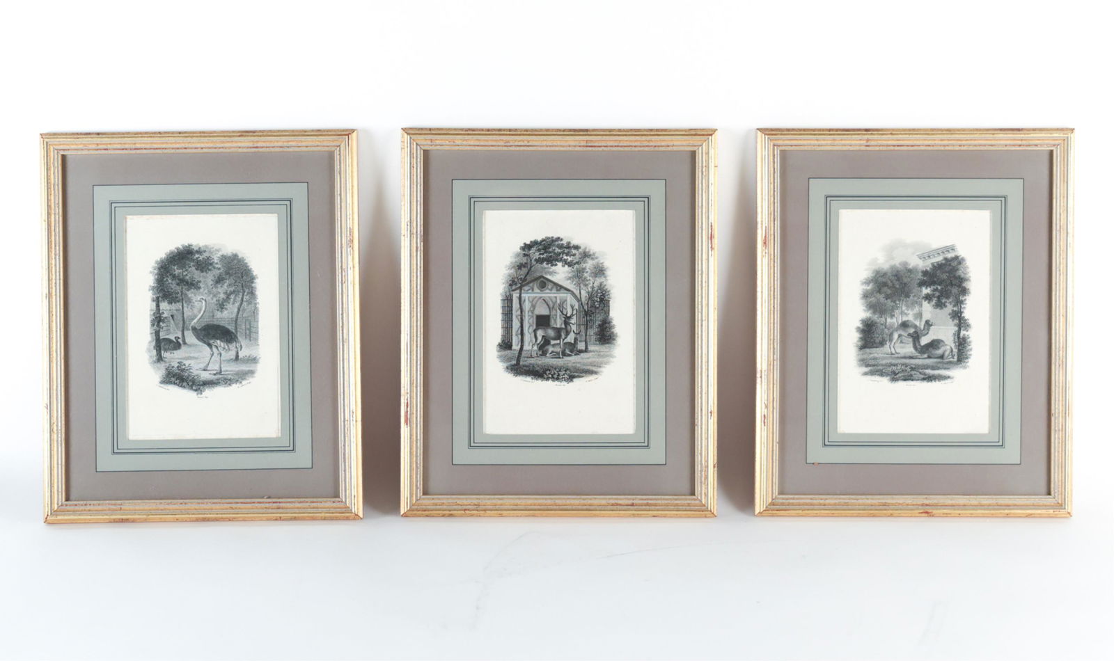 (3) ANIMAL PRINTS (1 of 13)