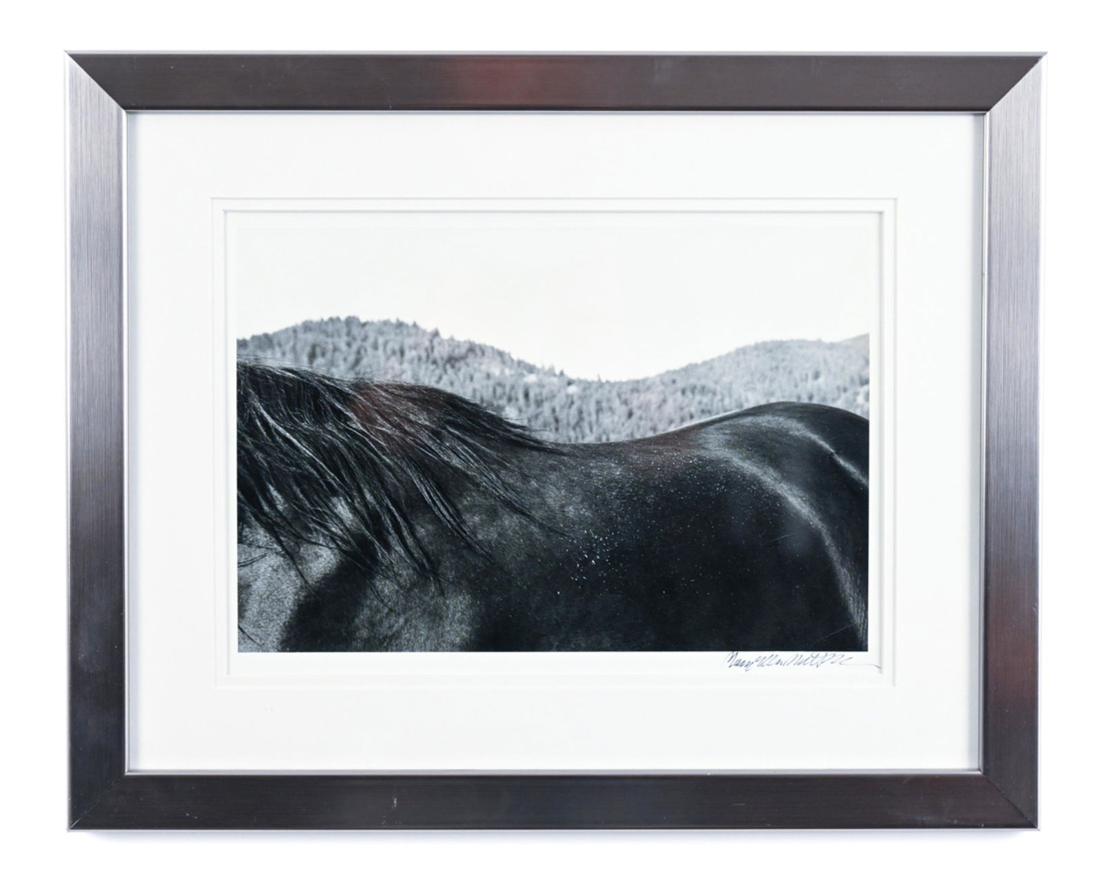 MARY ELLEN MARK ORIGINAL PHOTOGRAPH (1 of 9)