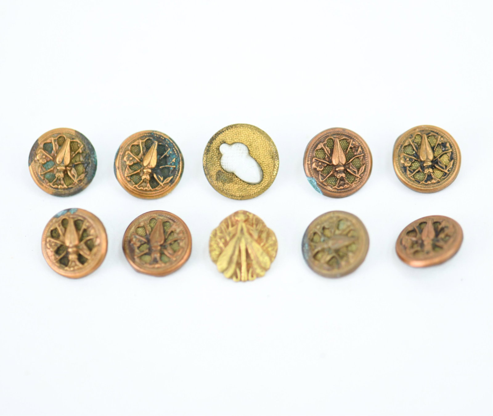 ANTIQUE METAL INSECT PICTURE BUTTONS (1 of 9)