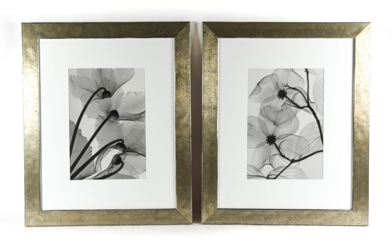 (2) CONTEMPORARY PHOTO OFFSET PRINTS (1 of 8)