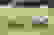 item-101148070=3