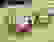 item-101148070=4
