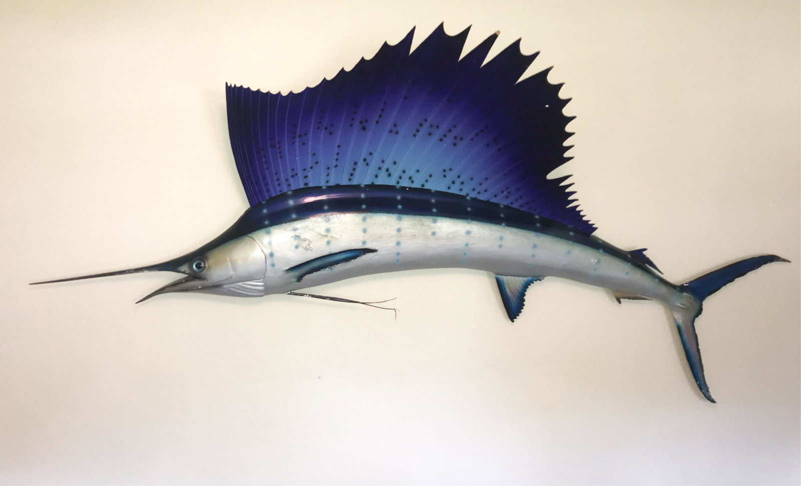 TAXIDERMY MARLIN MOUNT: Cardboard fin separates from mount. Dimensions: H 53" x W 109" x D 8" Condition: Wear including chips, nicks and cracks. Areas of flaking paint and losses with some dings and scuffs.