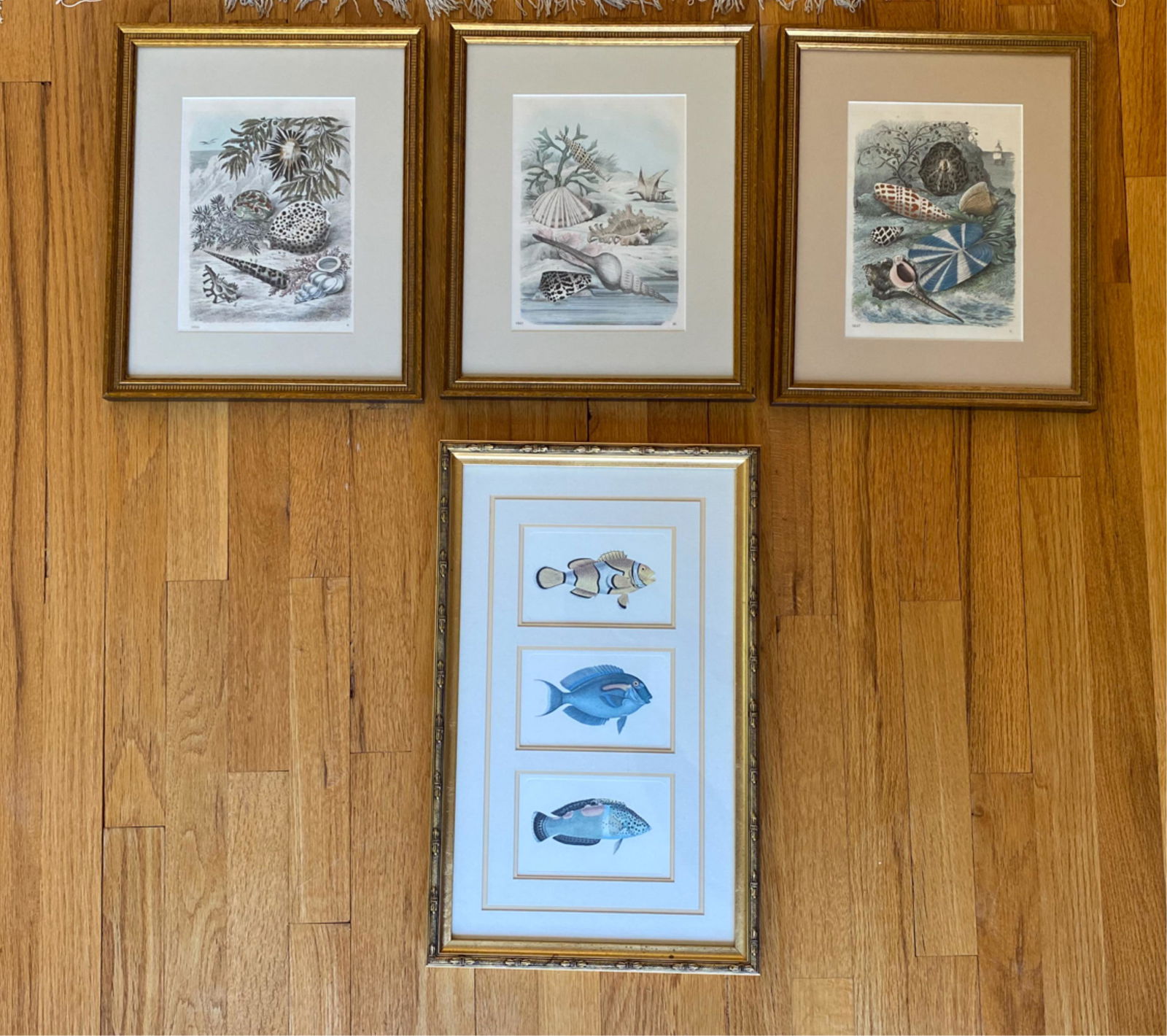 (3) 19TH C. HAND-COLORED ENGRAVINGS OF SHELLS (1 of 7)