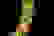 item-103188110=5