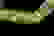 item-103188110=7