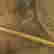 item-103660642=8