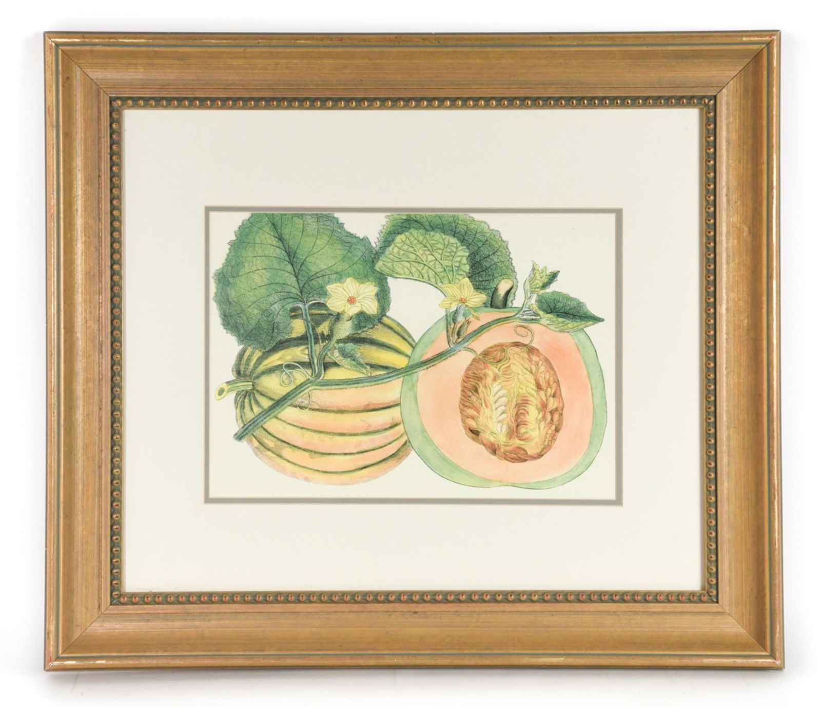 CONTEMPORARY PRINT OF CANTALOUPE (1 of 8)