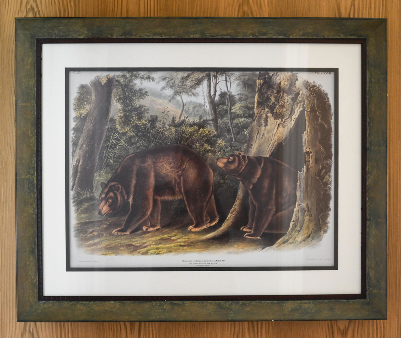 REPRODUCTION AUDUBON CINNAMON BEAR PRINT (1 of 13)