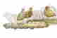 item-106217356=5