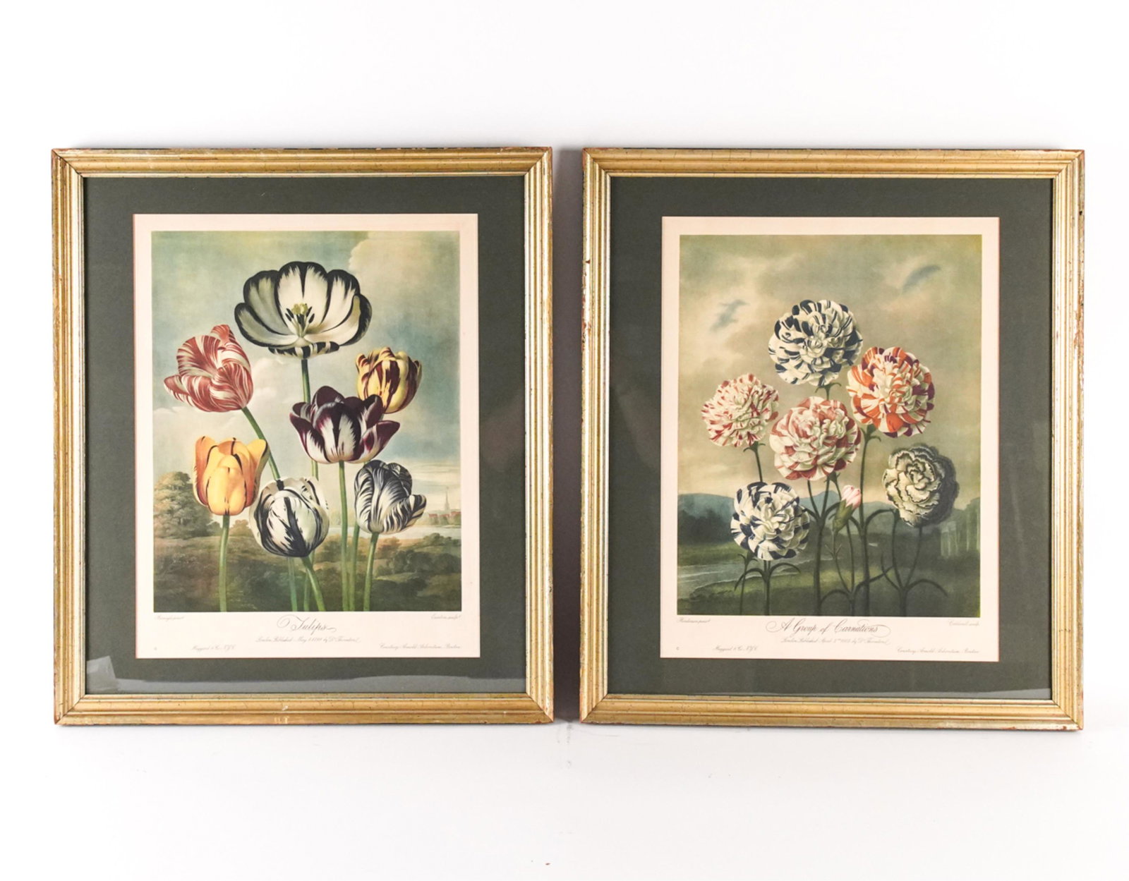 (2) VINTAGE REPRODUCTION PRINTS AFTER THORNTON (1 of 15)