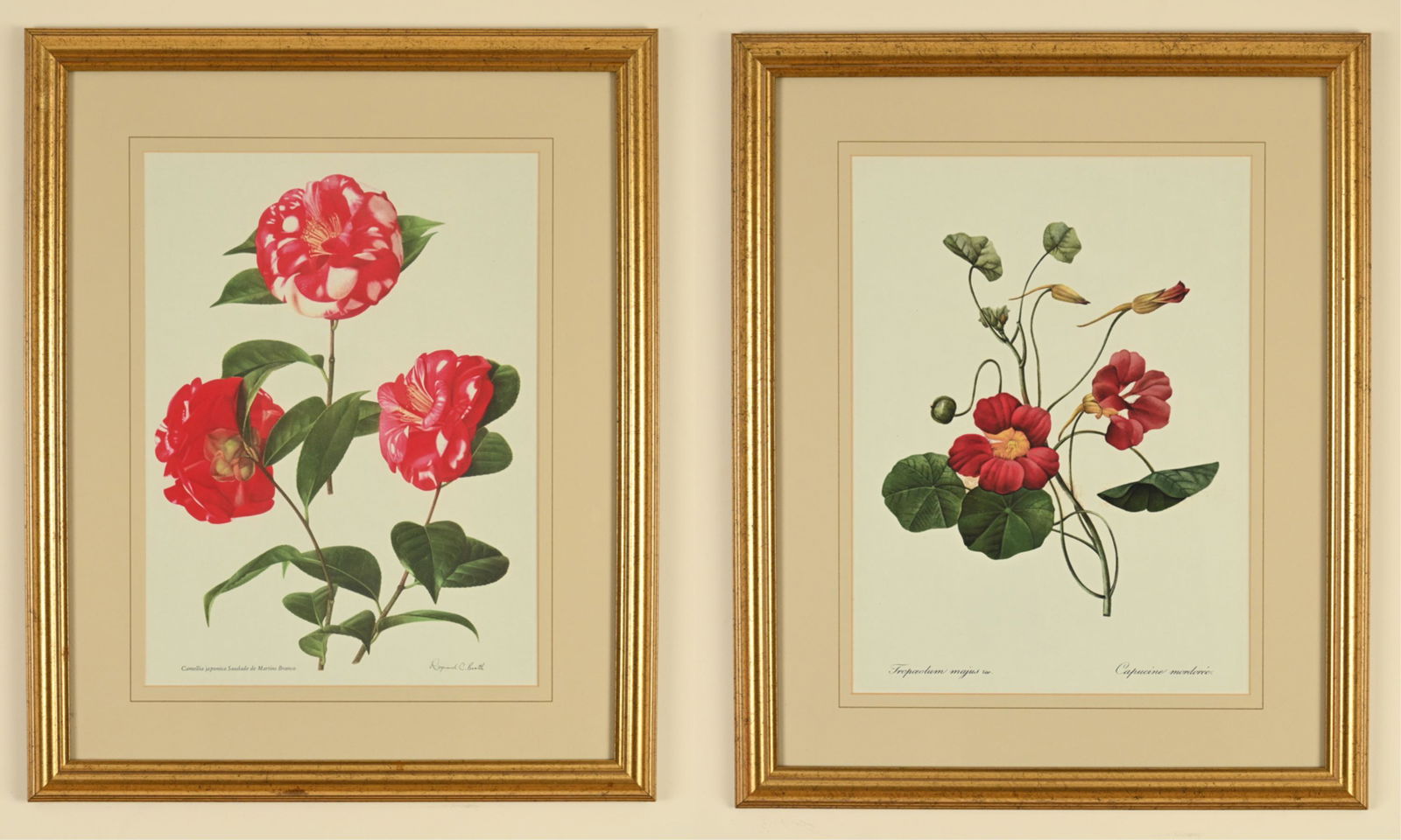 (2) REPRODUCTION BOTANICAL PRINTS (1 of 14)