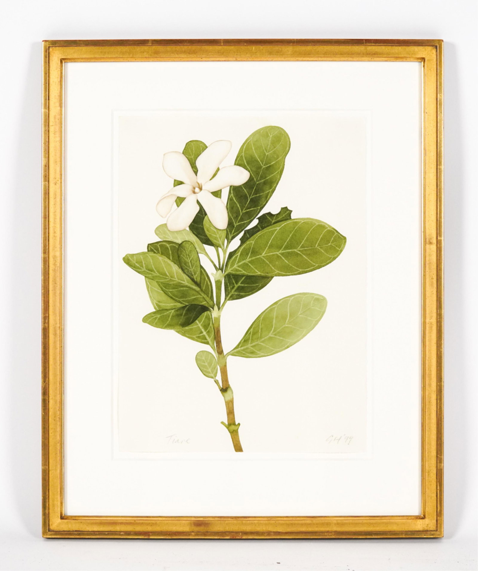 GREG HULL BOTANICAL TIARE WATERCOLOR, SIGNED (1 of 9)