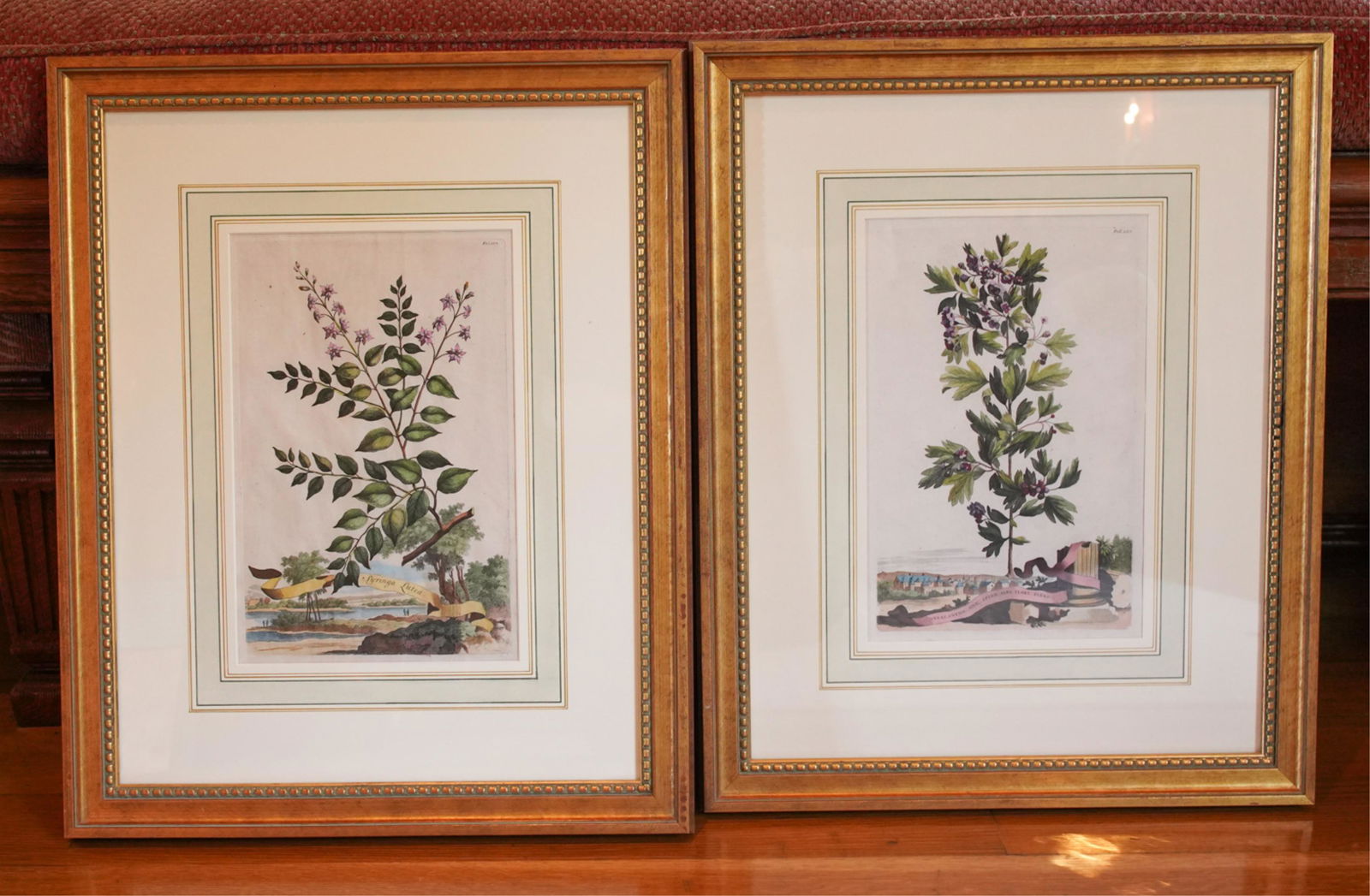PAIR 18TH C. ABRAHAM MUNTING BOTANICAL ENGRAVINGS (1 of 11)