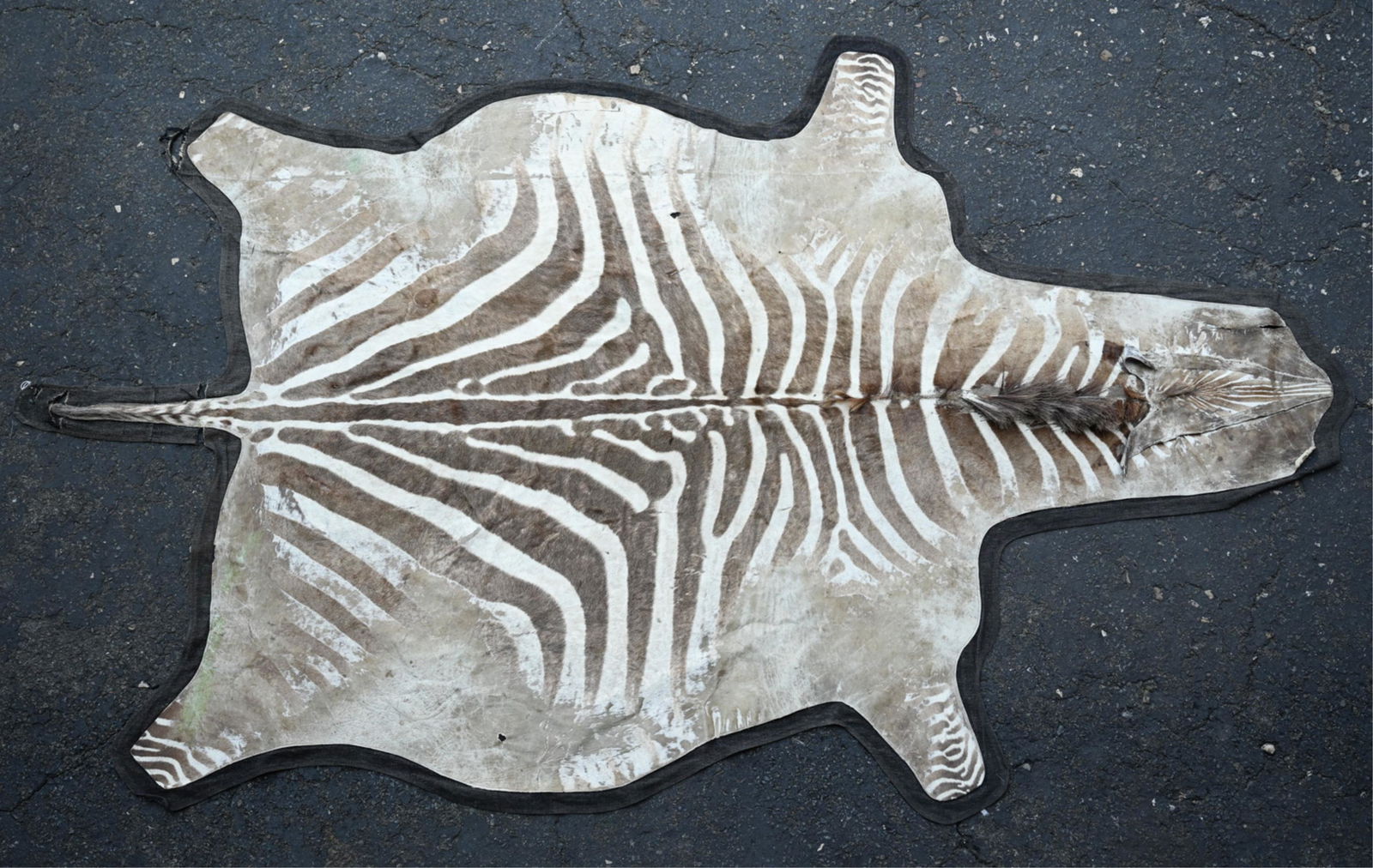 VINTAGE ZEBRA HIDE RUG, AS IS (1 of 13)