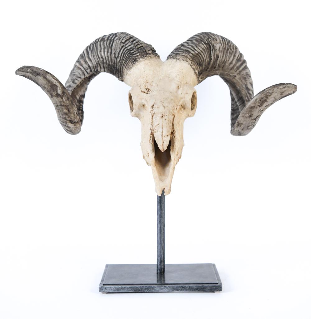 CAST RESIN RAM'S SKULL DECORATION: On solid metal stand. Dimensions: H 17" x W 18.25" x D 10" Condition: Showing light wear including minor rubs and scuffs to finish.