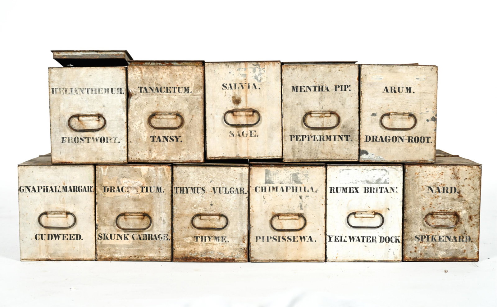(9) ANTIQUE APOTHECARY TINS: Painted, with names of various herbs/plants. Dimensions: (Each) H 6.5" x W 5" x D 12" Condition: Wear consistent with age including rust, paint loss, dents. One lid needs reattaching.