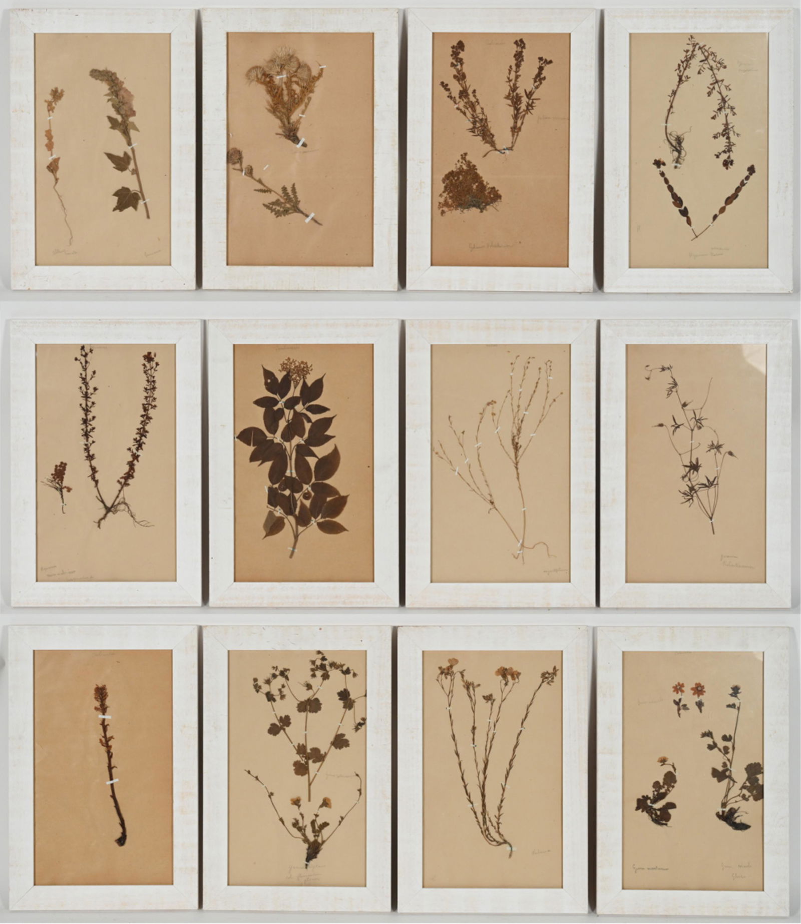 (12) VINTAGE PRESSED FLOWER ARRANGEMENTS (1 of 16)