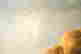item-111002560=6