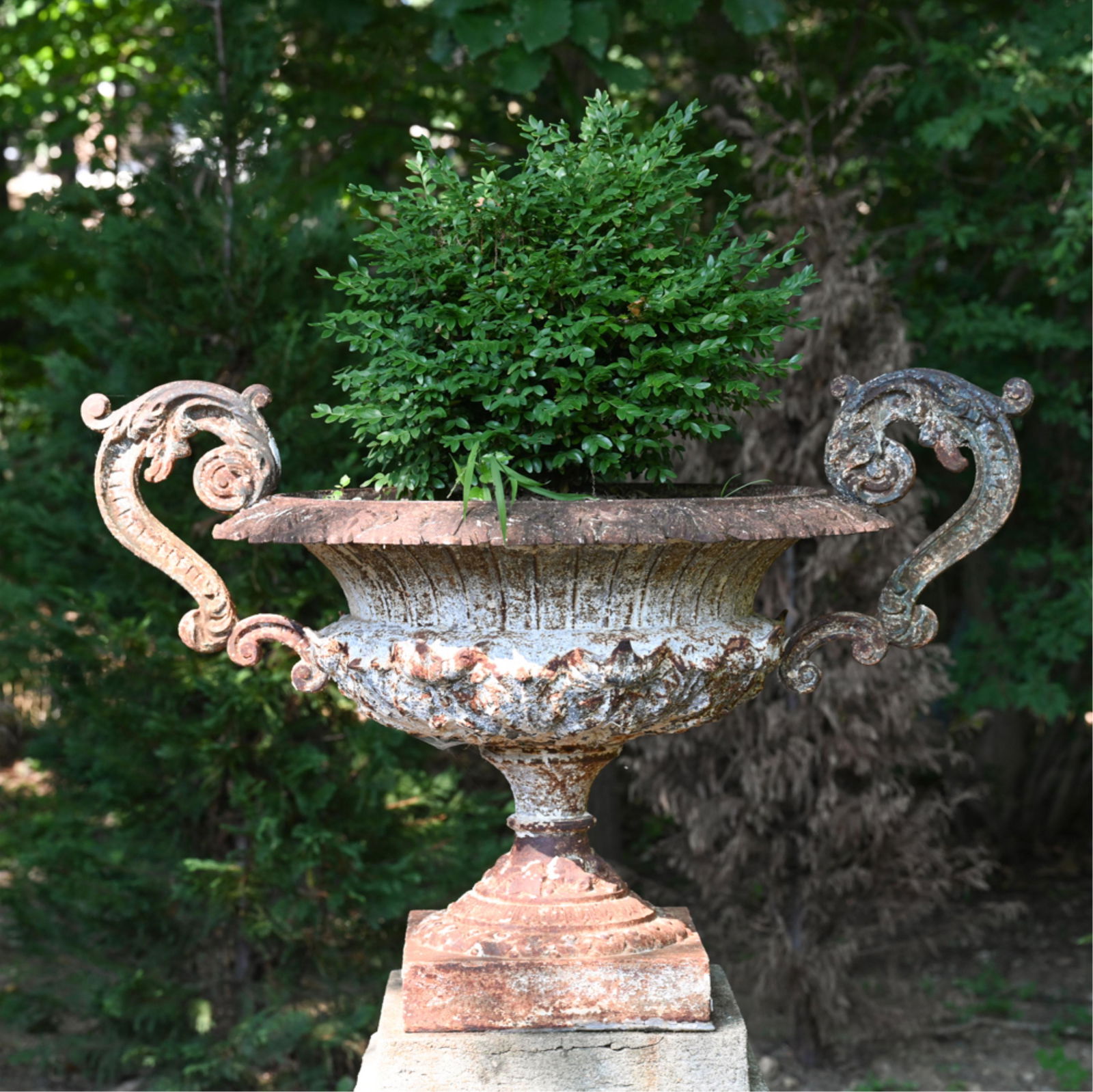 VICTORIAN CAST IRON PEDESTAL PLANTER JARDINIERE (1 of 15)