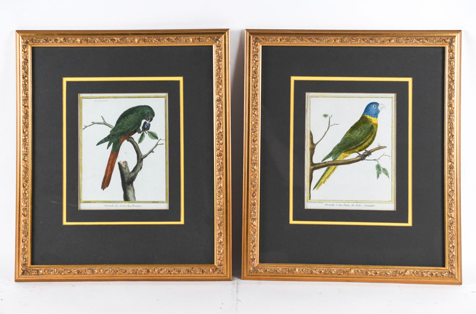 PAIR MARTINET (FRENCH, 1760-1800) BIRD ENGRAVINGS (1 of 9)