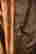 item-111677441=3