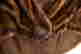 item-111677441=6