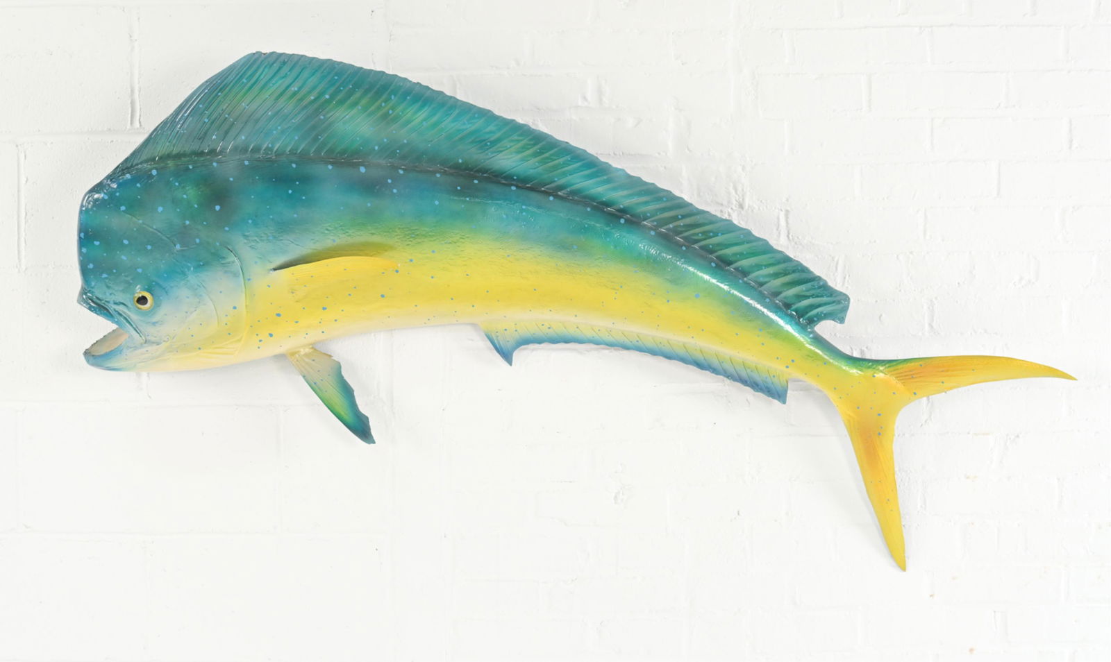 MAHI-MAHI DOLPHIN FISH TAXIDERMY WALL SCULPTURE (1 of 14)